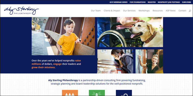 Check out the Aly Sterling Philanthropy website for more information about their nonprofit consulting services.