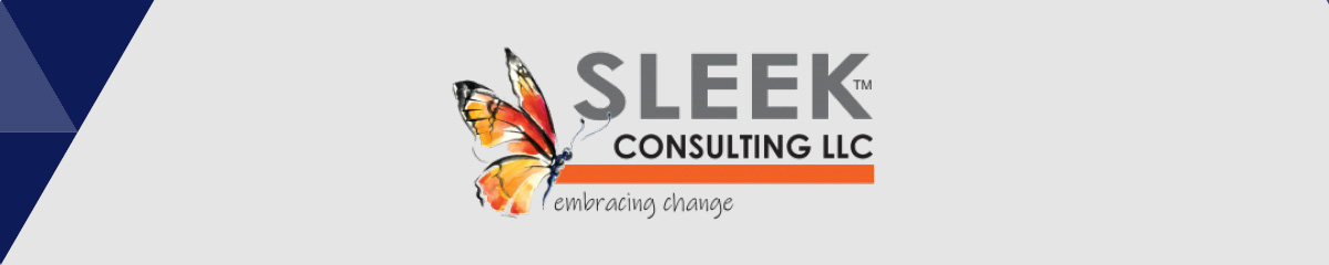 Choose Sleek Consulting as your nonprofit consultant for higher education.
