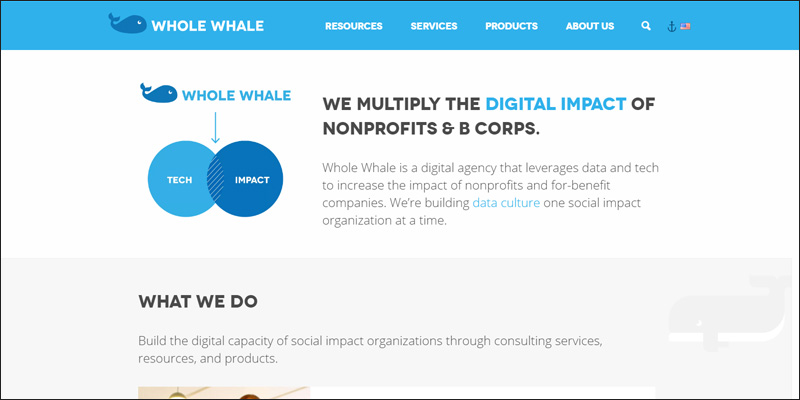 Go to the Whole Whale website for more information about their nonprofit consulting services.