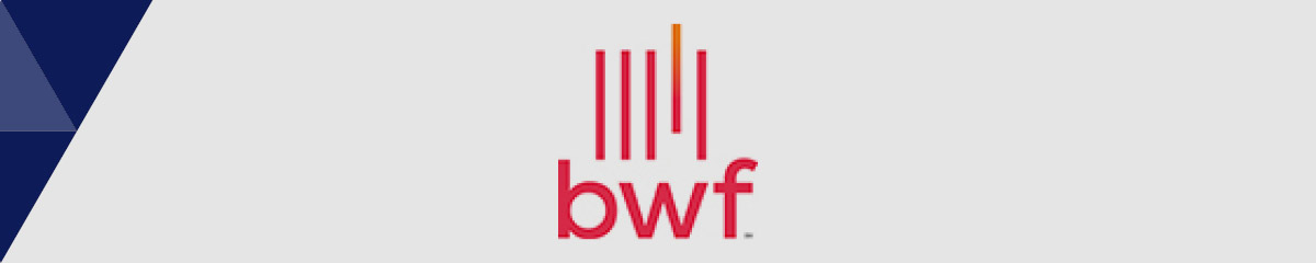 BWF is the best nonprofit consultant for healthcare philanthropy.