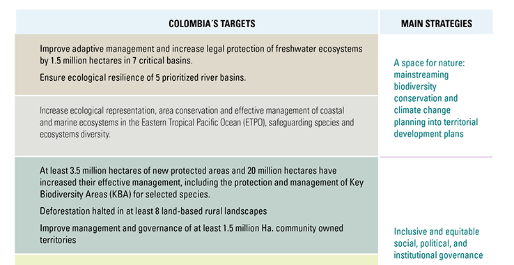 The World Wildlife Fund (WWF) of Colombia provides an excellent example of nonprofit strategic planning because they list out specific targets and strategies to support their mission.