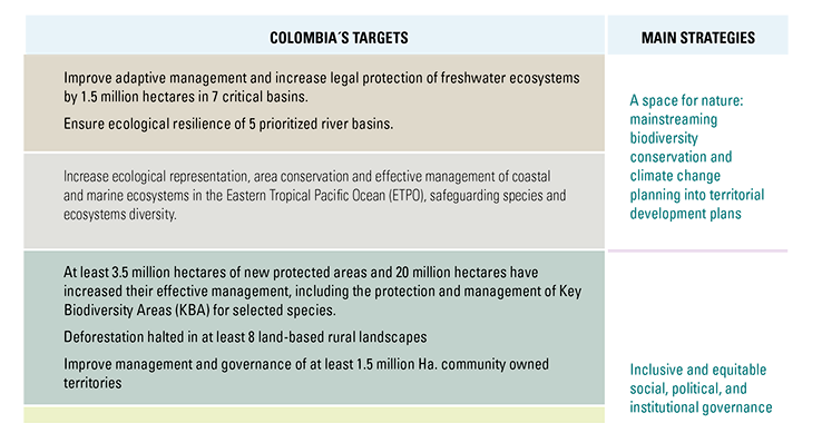 The World Wildlife Fund of Colombia’s nonprofit strategic plan.