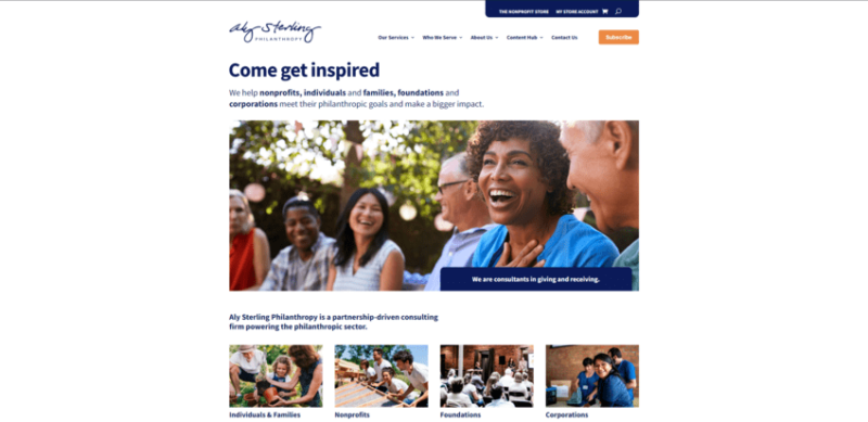 The website for Aly Sterling Philanthropy, the top nonprofit consultant for comprehensive services.
